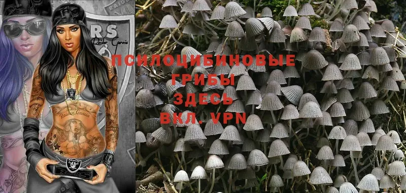 Псилоцибиновые грибы MAGIC MUSHROOMS  Белоусово 